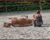 1-13JUIN 1062